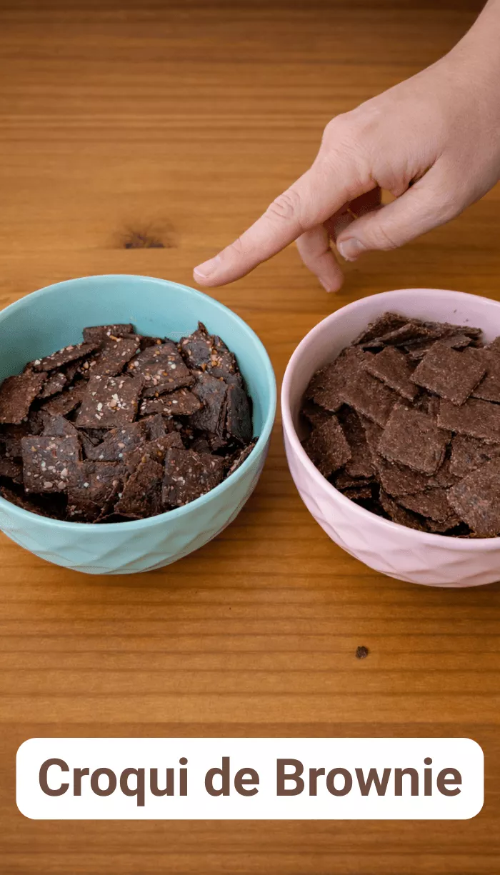 Croqui de Brownie